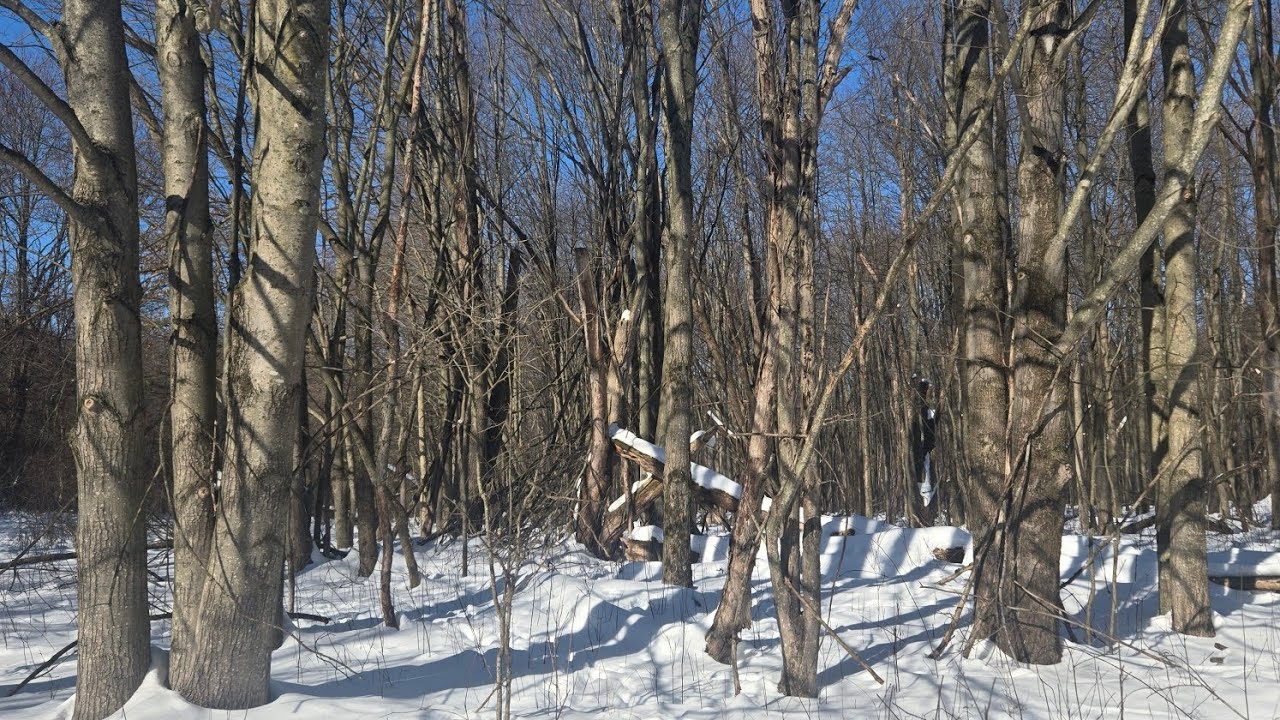 Walking the Noble Path