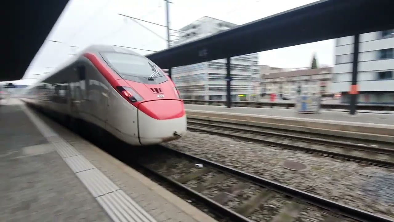 Intercity and local trains in Zug and Rotkreuz | 🇨🇭 Switzerland