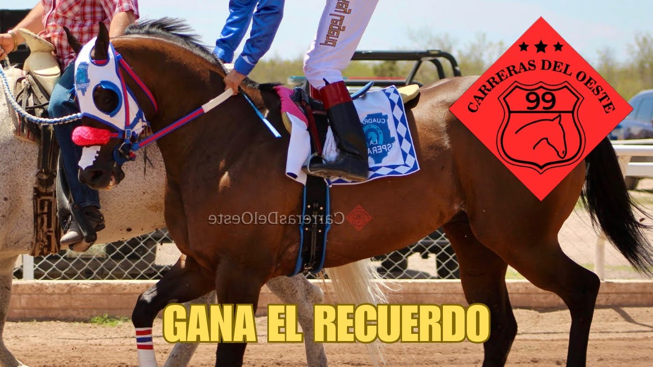 SATEVO RACE TRACK | TAPADO C. DON ELISEO vs TAPADO C. LA ESPERANZA | 300 VARAS