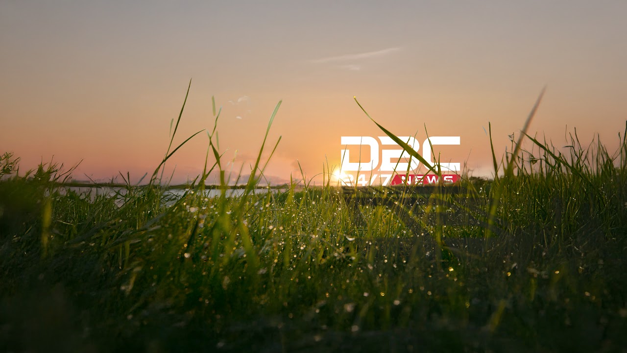 নির্বাচনি জনসভায় কথা বলছেন জামায়াত আমির  | DBC NEWS Live