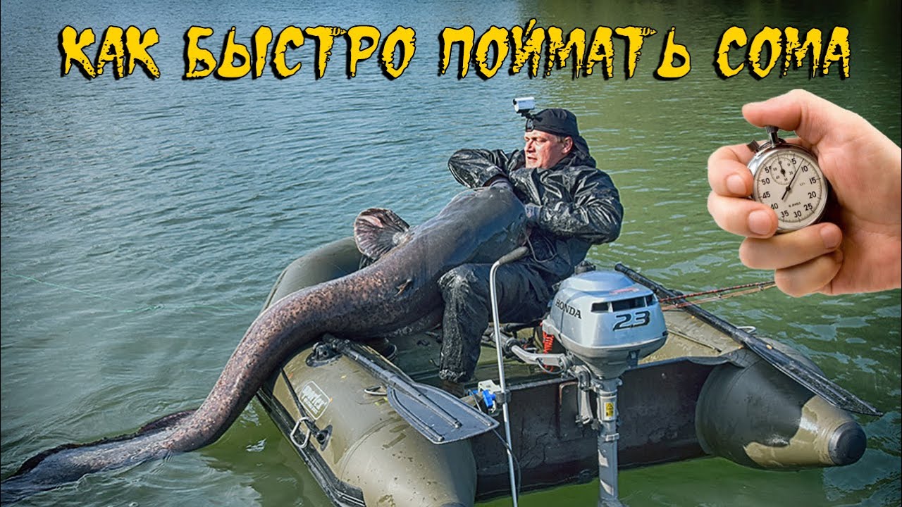 Секреты быстрой рыбалки на сома для занятых людей  /  Виталий Дальке о рыбалке #28