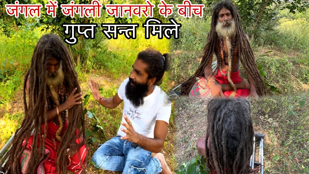 घनघोर जंगल में दिव्य संत जंगली जानवरो के बीच संत मिले jangal ke sant 