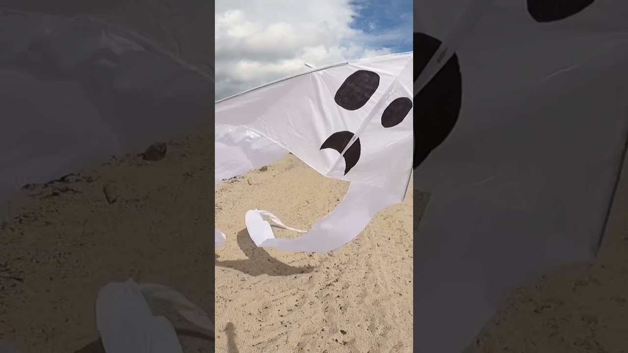 If you have ghost kites, you have everything 👻 