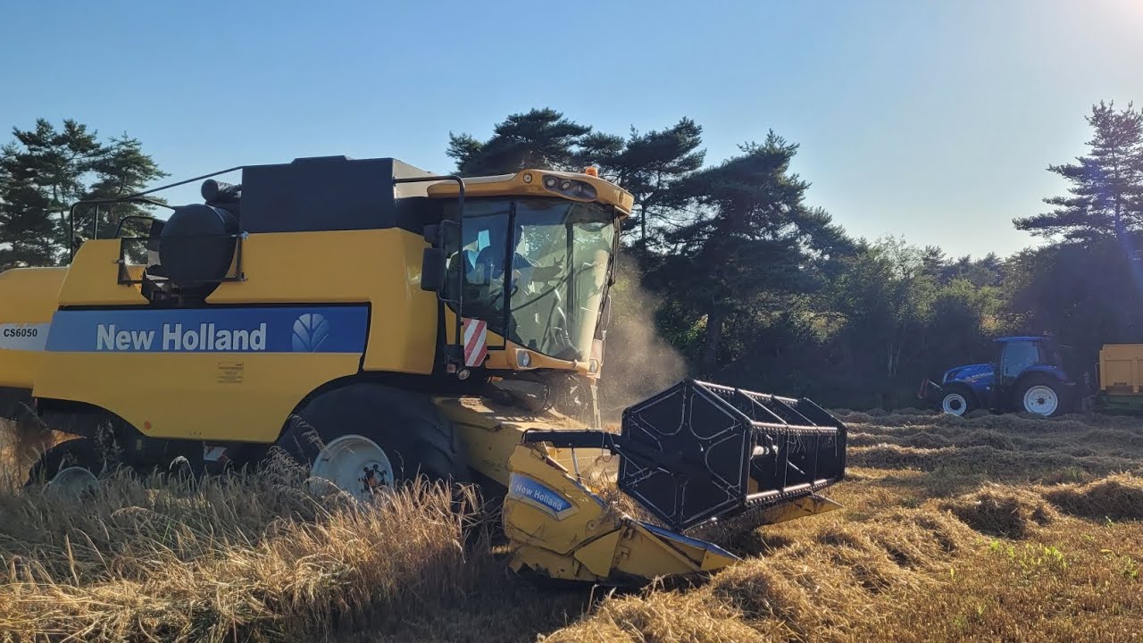 Moisson d'orges 2024.