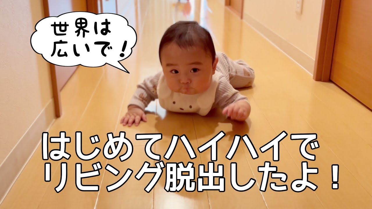 【生後７ヶ月】ずりばいで遠出する赤ちゃん【結局ママが好き】