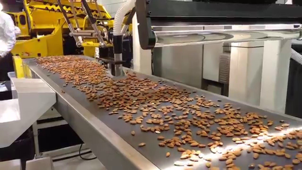 Color-Detecting Robotic Almond Sorter