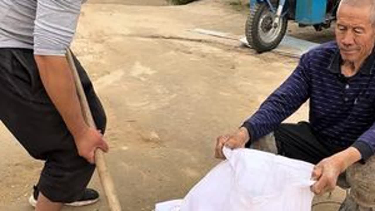 抽空时间赶紧把这点粮食收拾完了还得去医院里面 #记录我的农村生活 #三农