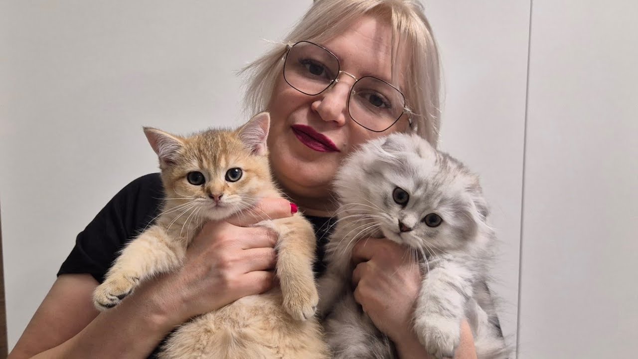 Кто хулиганил в цветах? 😊