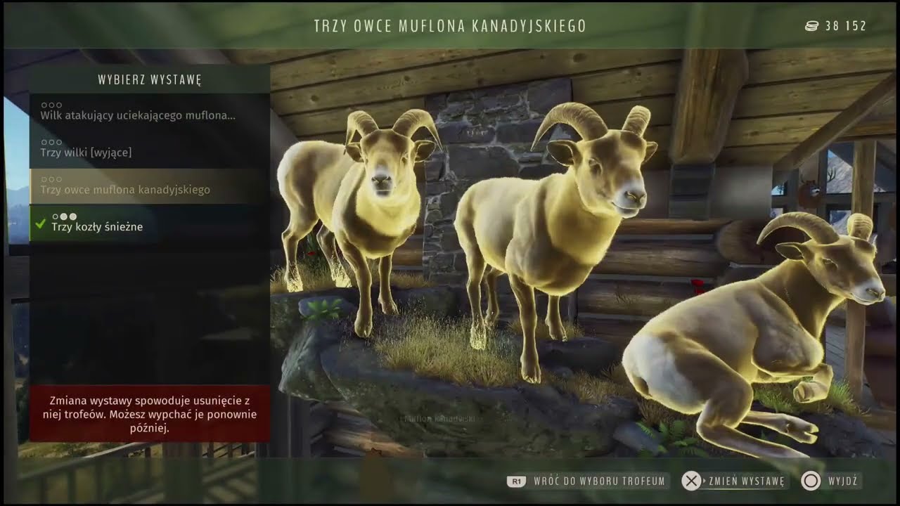 Way of the Hunter PS5#5 PL Wypycham zwierzęta na wystawę