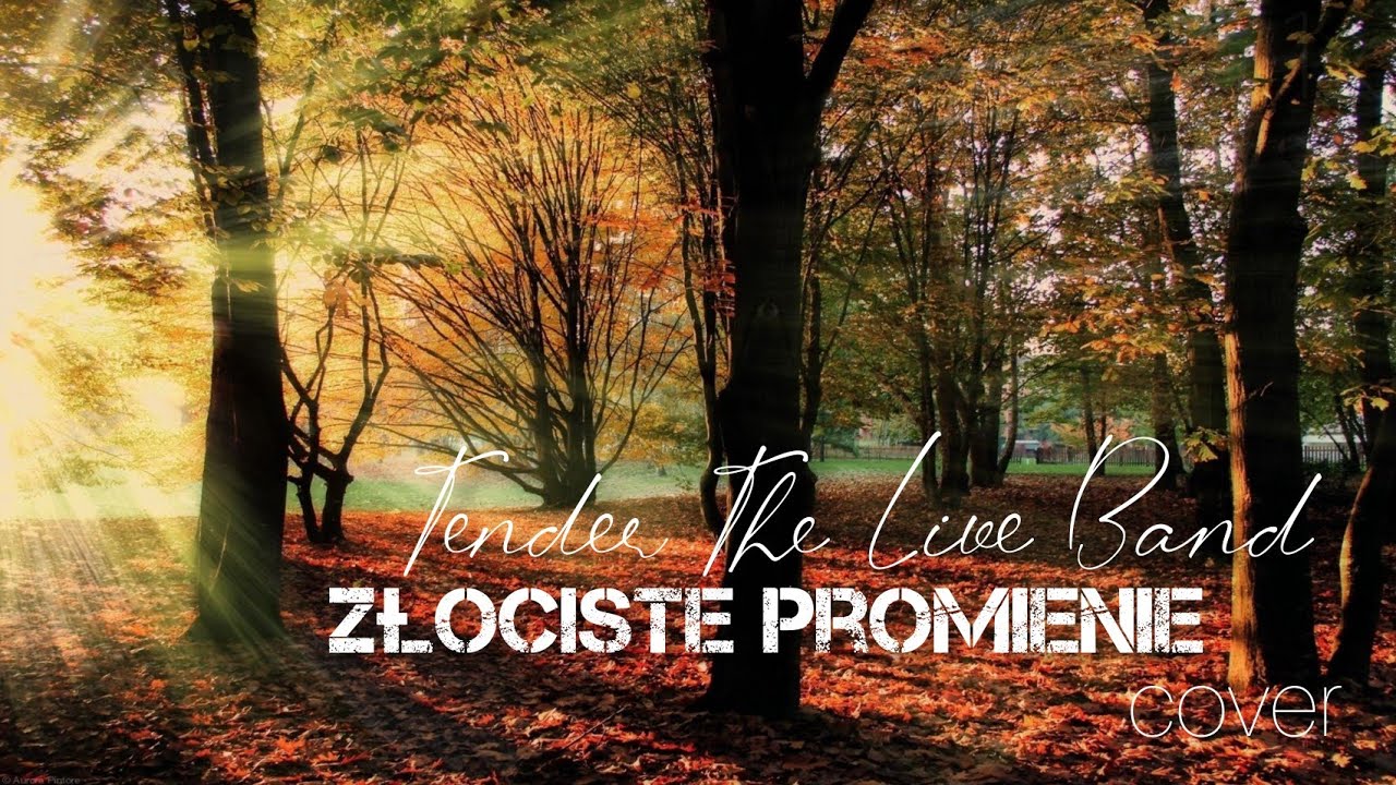 Złociste Promienie | cover | Tender The Live Band #wesele #młodzi #polska #zabawa #impreza