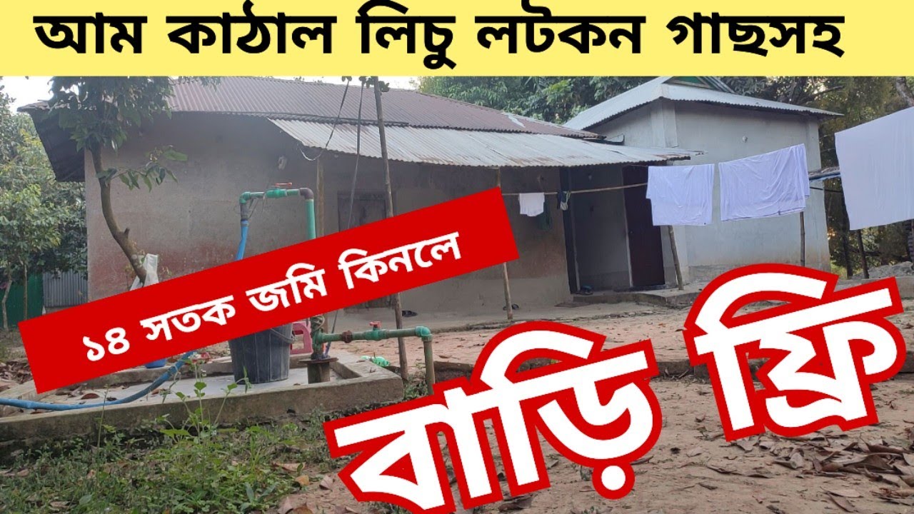 কমদামে ৩০টি গাছসহ বাড়ি বিক্রয় হবে | jomi bikroy | jomi bikri | land sale |  bproperty | জমি বিক্রি 