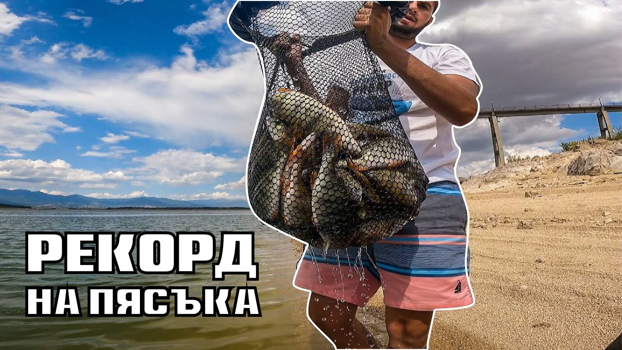 РЕКОРД! Хванахме  100 КОСТУРА. БРУТАЛНА СЕЧ на  ПЯСЪЧНИК