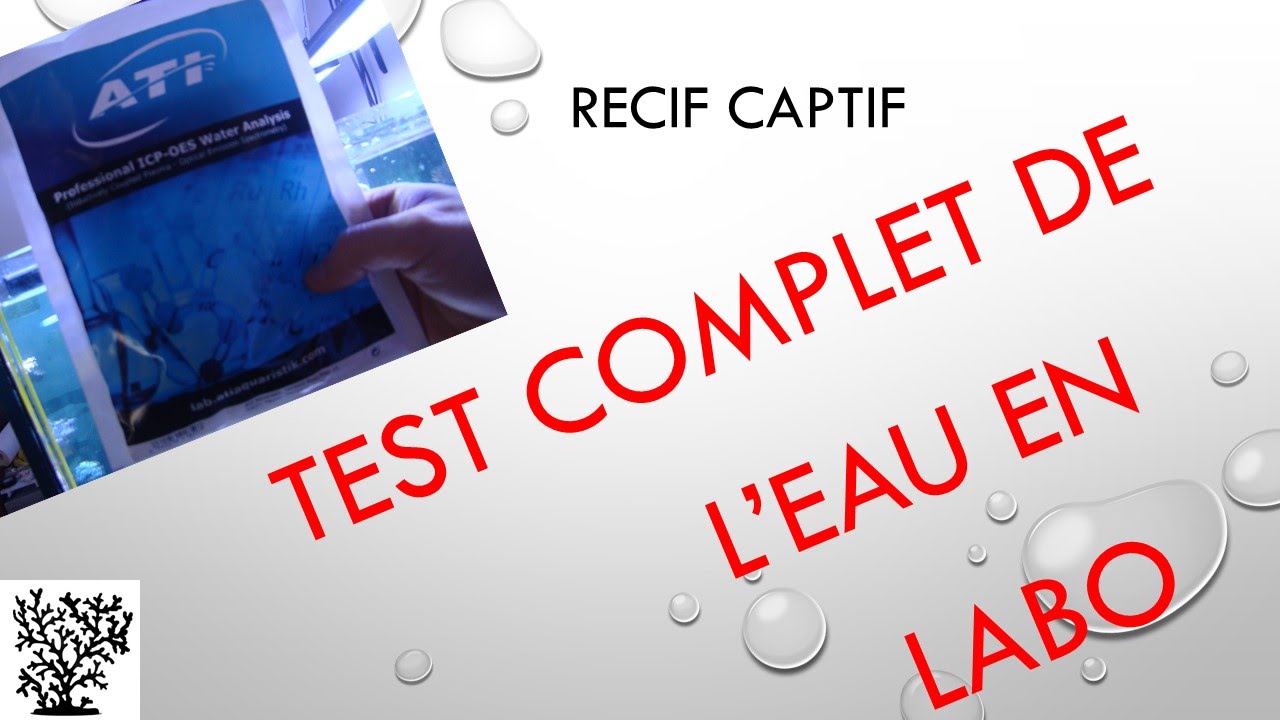 Test de l'eau par laboratoire ATI - Mr Recif Captif #33