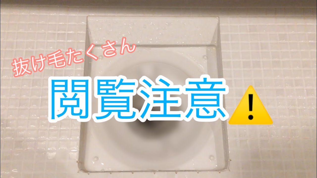 【閲覧注意】シャンプー後の抜け毛、何本？【女性型脱毛症】
