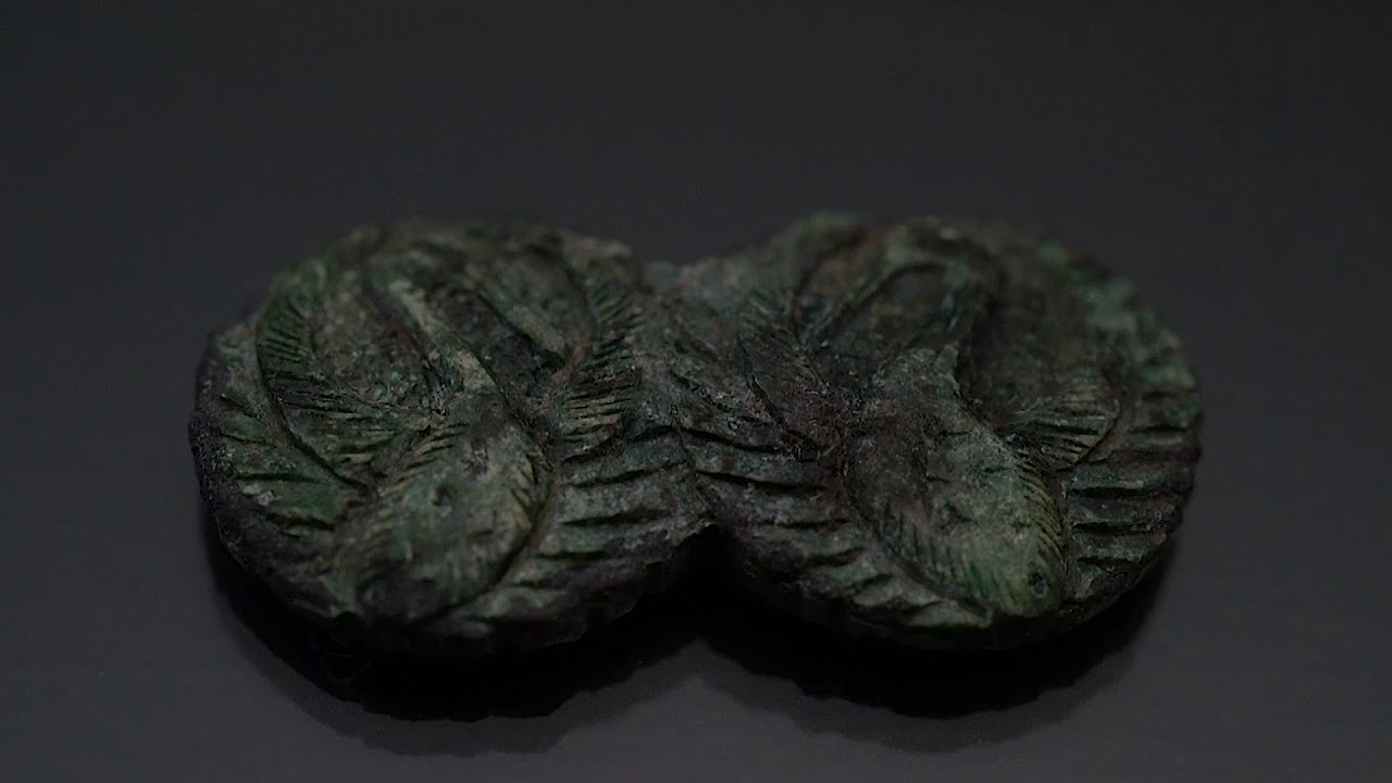 聖寿寺館跡プロモーション動画