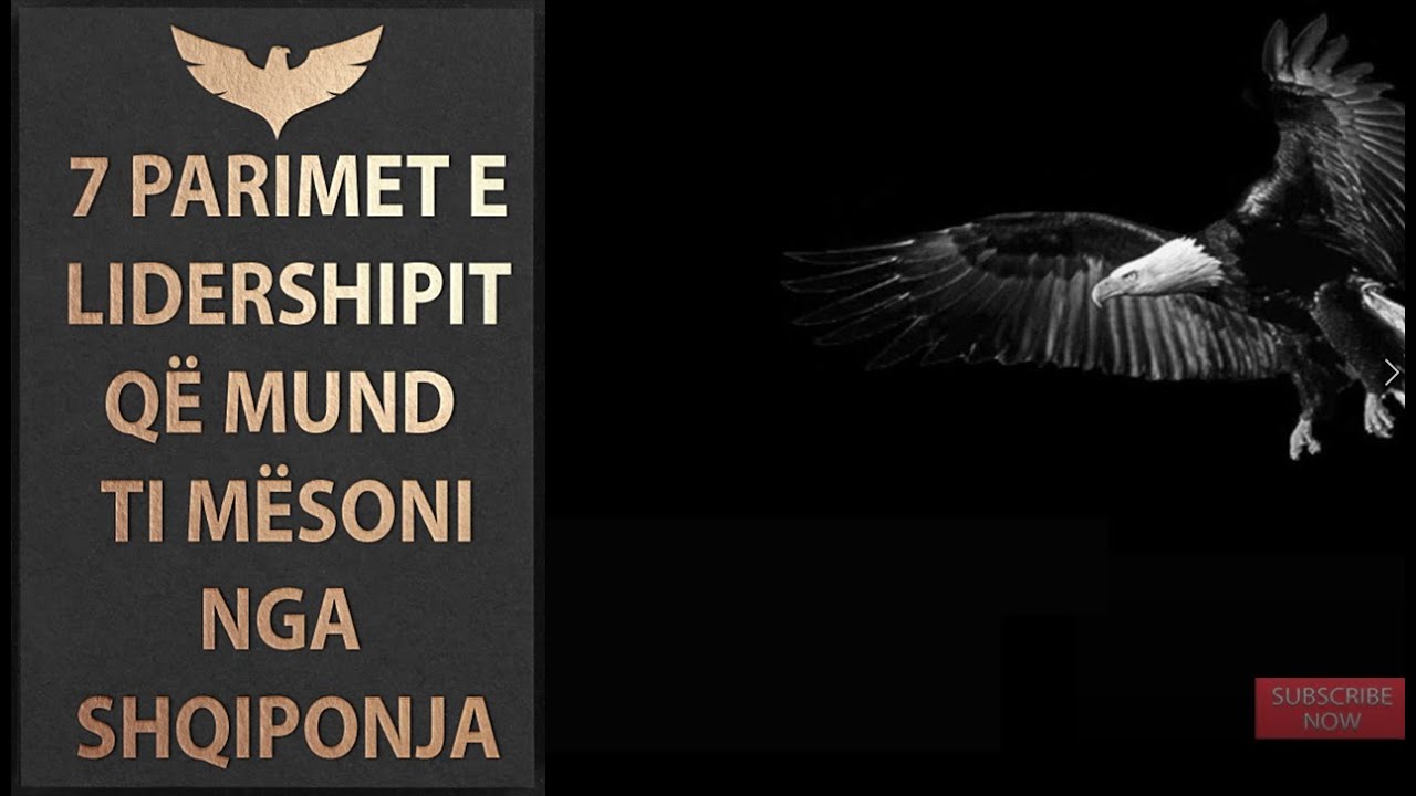Si t&euml; p&euml;rdorni 7 Parimet e Shqiponj&euml;s, p&euml;r t&euml; qen&euml; nj&euml; Lider, video Motivuese