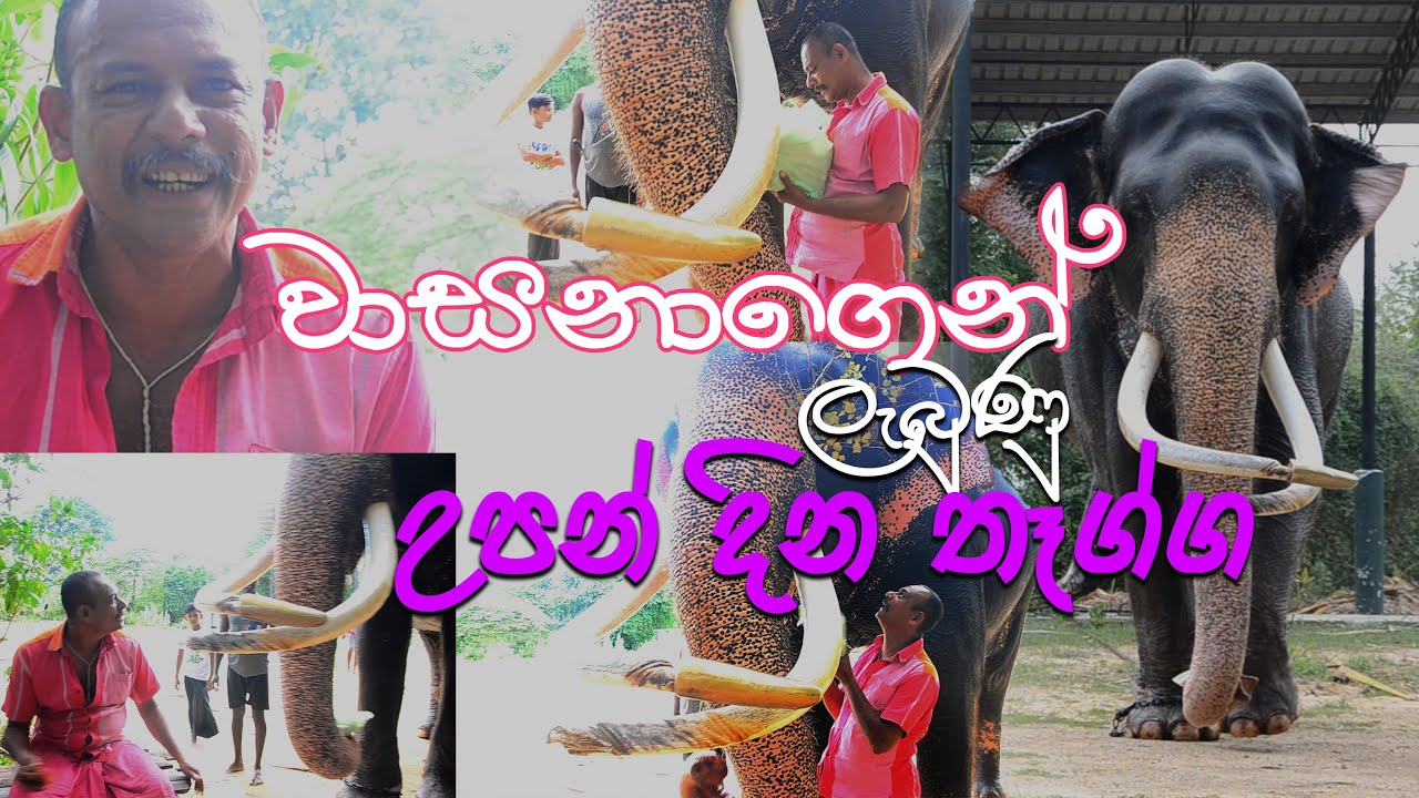 BIrthDay Gift from Wasana | අජිත් මාමට වාසනාගෙන් ලැබුණු උපන් දින තෑග්ග | Kataragama Wasana