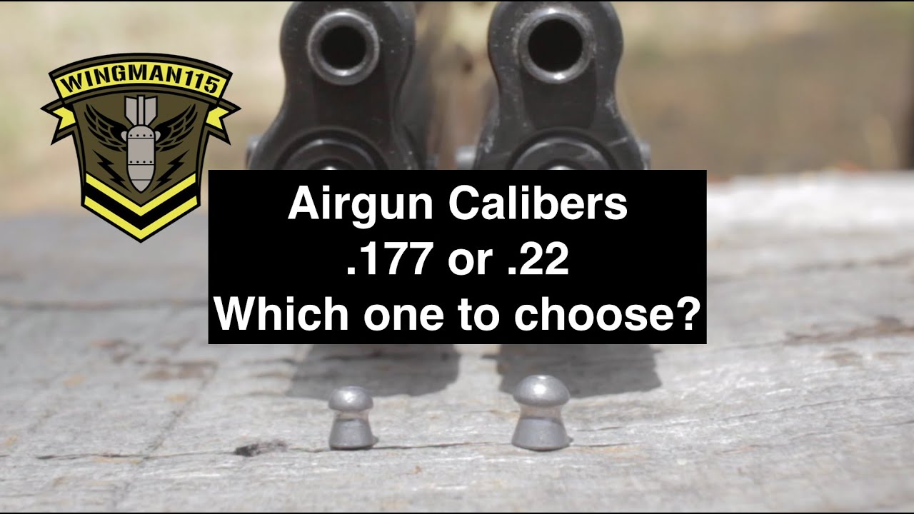 Airgun Calibers  .177 or .22 Which one to choose?