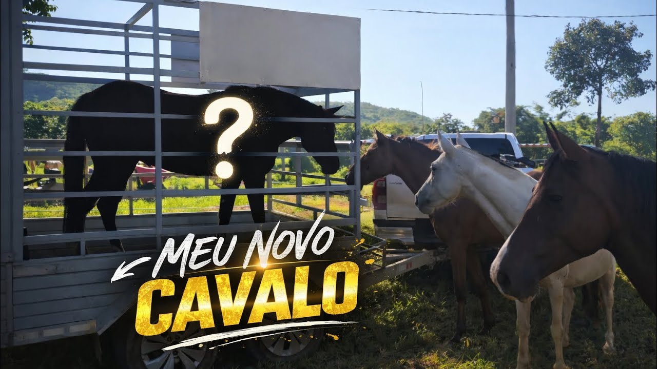 COMPREI MAIS UM CAVALO  🐎 