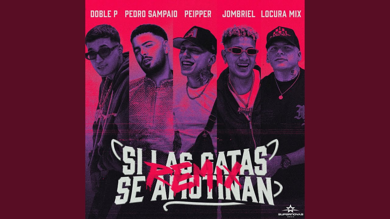 Si Las Gatas Se Amotinan (feat. DobleP) (Remix)