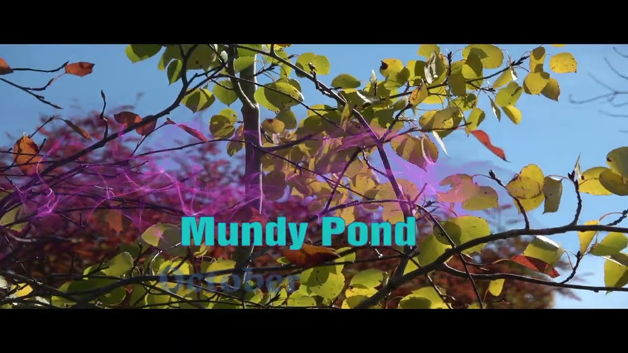 Mundy Pond   October 21, 2025