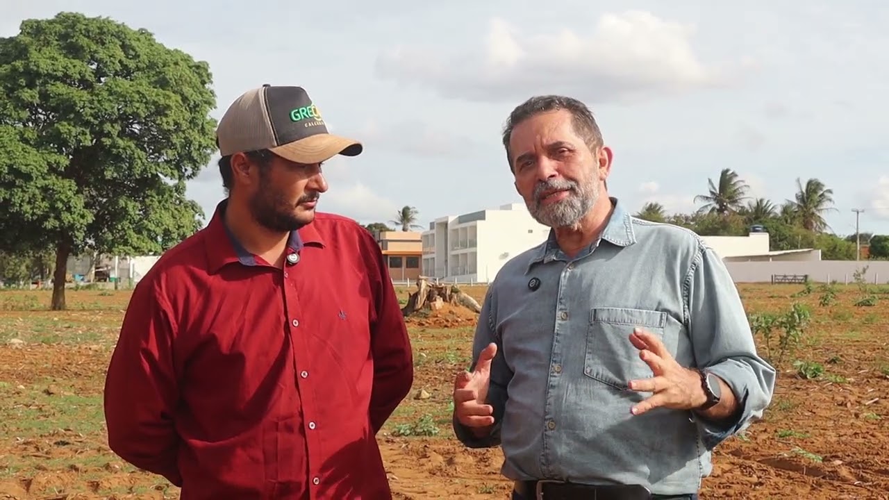 Sojicultura avança no interior de Alagoas