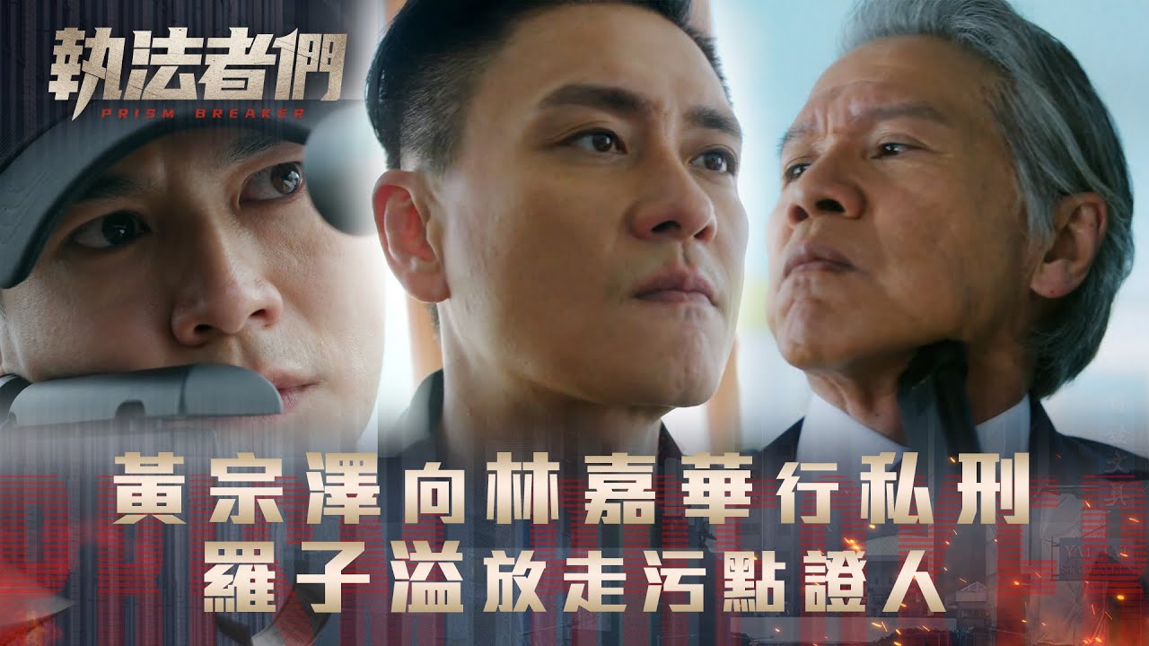 執法者們劇情｜黃宗澤向林嘉華行私刑 羅子溢放走污點證人｜第二十集劇集精華｜TVB港劇精華 #TVB #執法者們 #黃宗澤 #馬國明 #陳豪