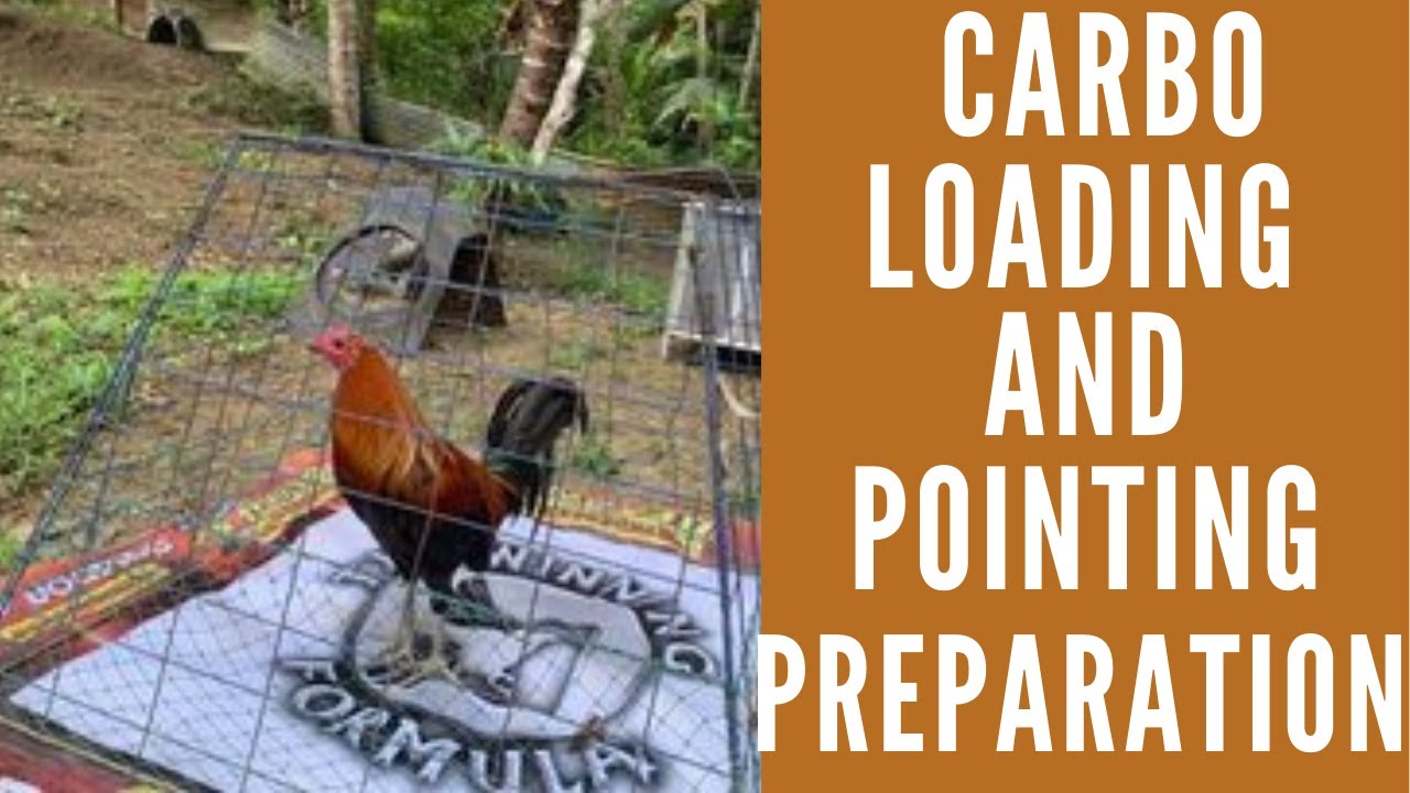 Carbo Loading ang Pointing Preparation