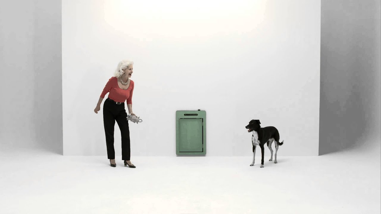 petWALK - Charming Scenes