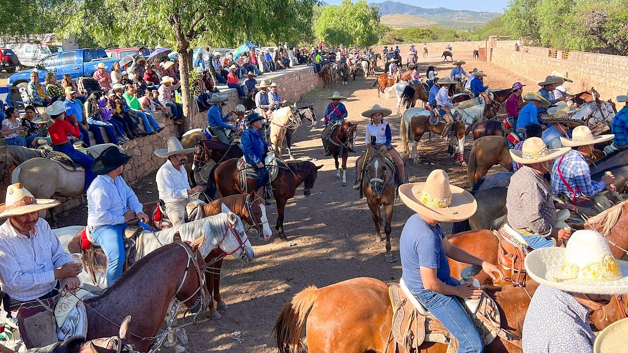 COLEADERO EN JOMULQUILLO JEREZ ZACATECAS LIENZO CHARRO LA LOMA- 12 DE OCTUBRE 2024