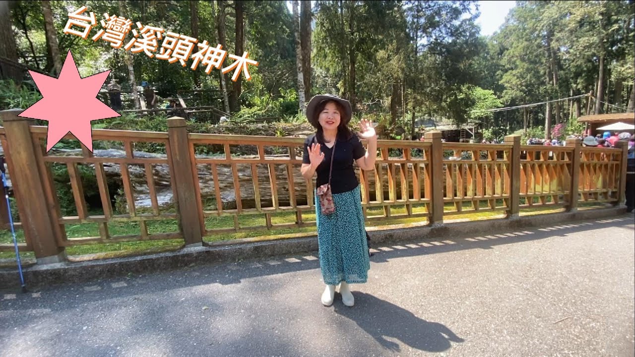 台灣南投溪頭神木
