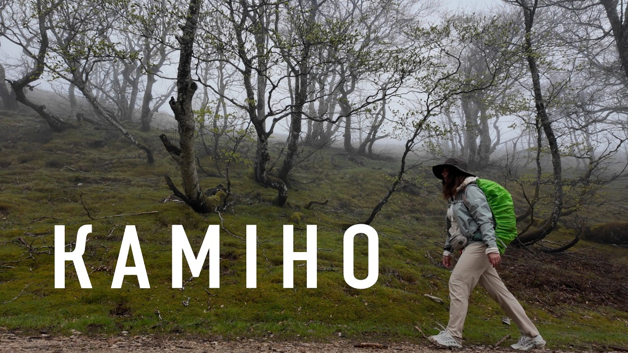 Я пройшла 400 км сама: мій досвід Каміно та невідома Іспанія