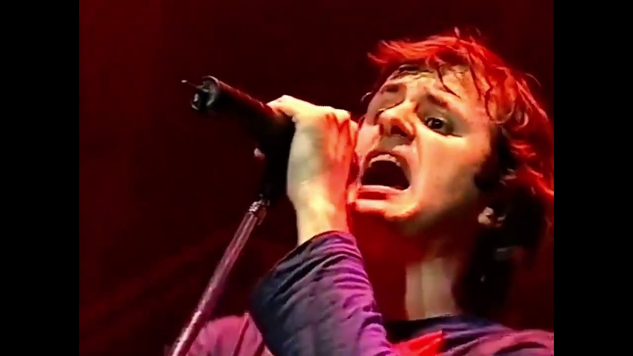 Globalización - Los Piojos (Luna Park 2002)