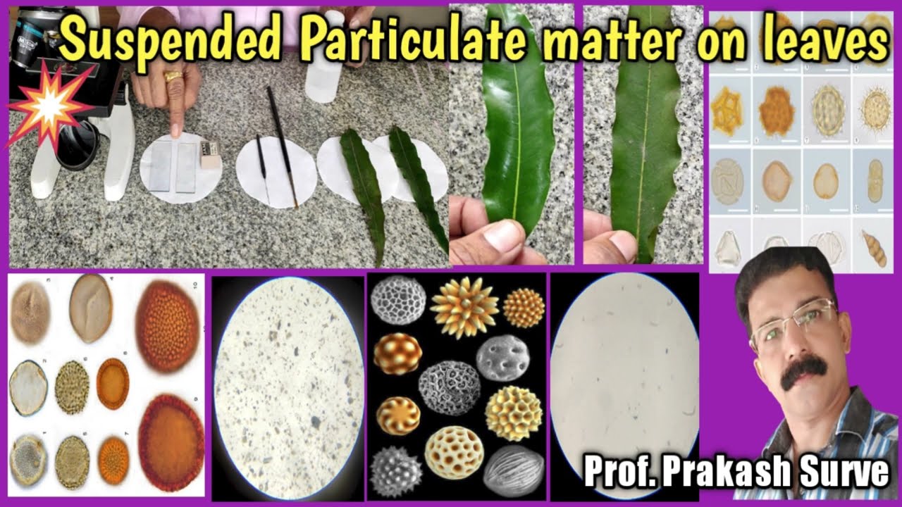 Study of Suspended perticulate matter on leaf with answers ( Bio practical ) By Prof. Prakash Surve