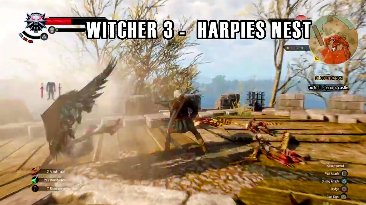 The Witcher 3: Wild Hunt -  Harpies Nest