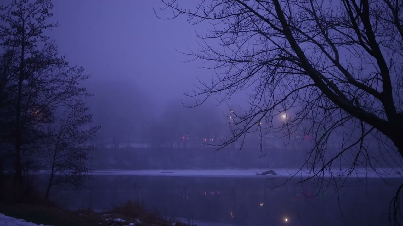A Foggy Winter Morning | Calming Scenes and Sounds of Nature and Wildlife in 4K on the Canon R5