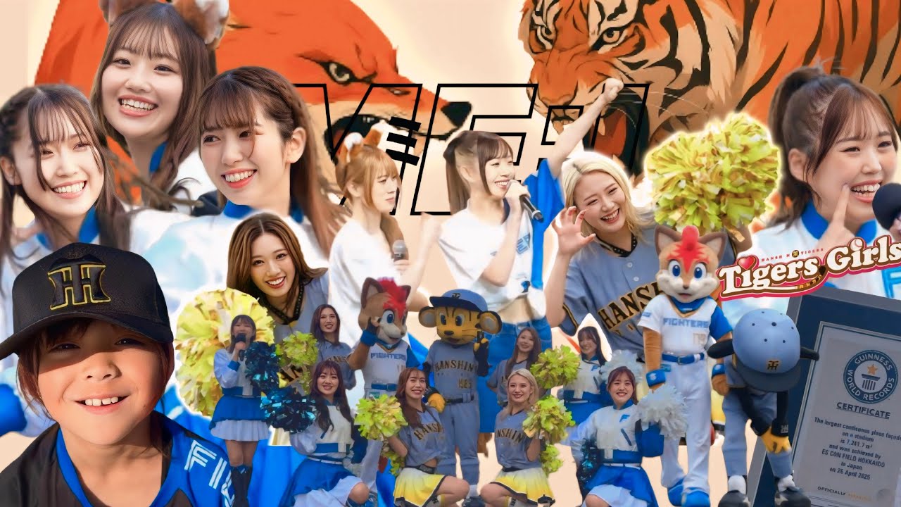 エスコンが黄色に染まった日🥺💕 豪華すぎ！タイガース＆ファイターズガール＆ME:Iコラボが可愛すぎた✨