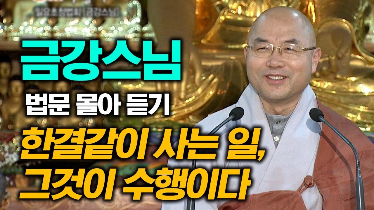 한결같이 사는 일, 그것이 수행이다 [금강스님 법문 몰아 듣기]