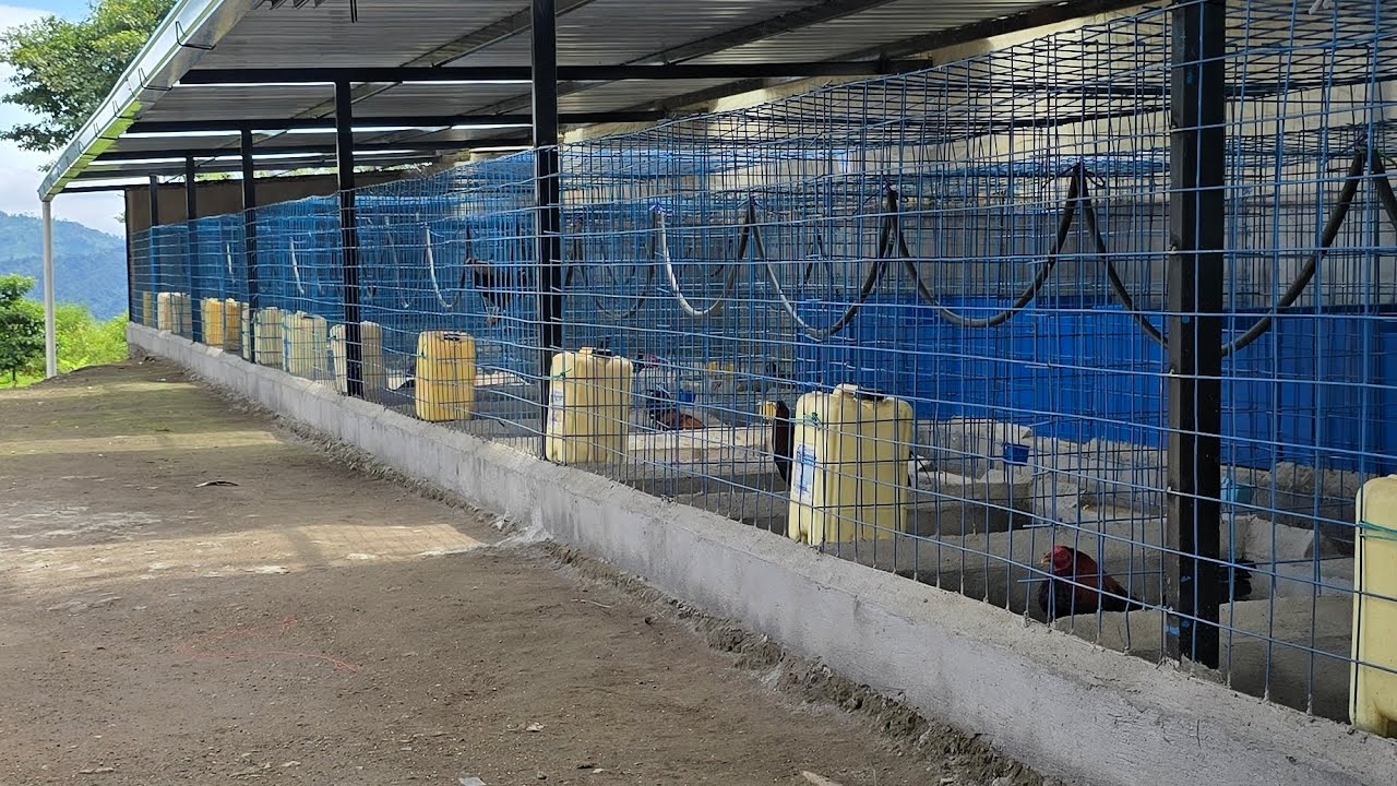 Una crianza en la selva Criadero Hermanos Calo