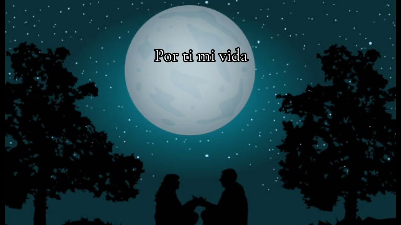 MI LUNA 🌓.                                                           #fypシ゚ ☀️..