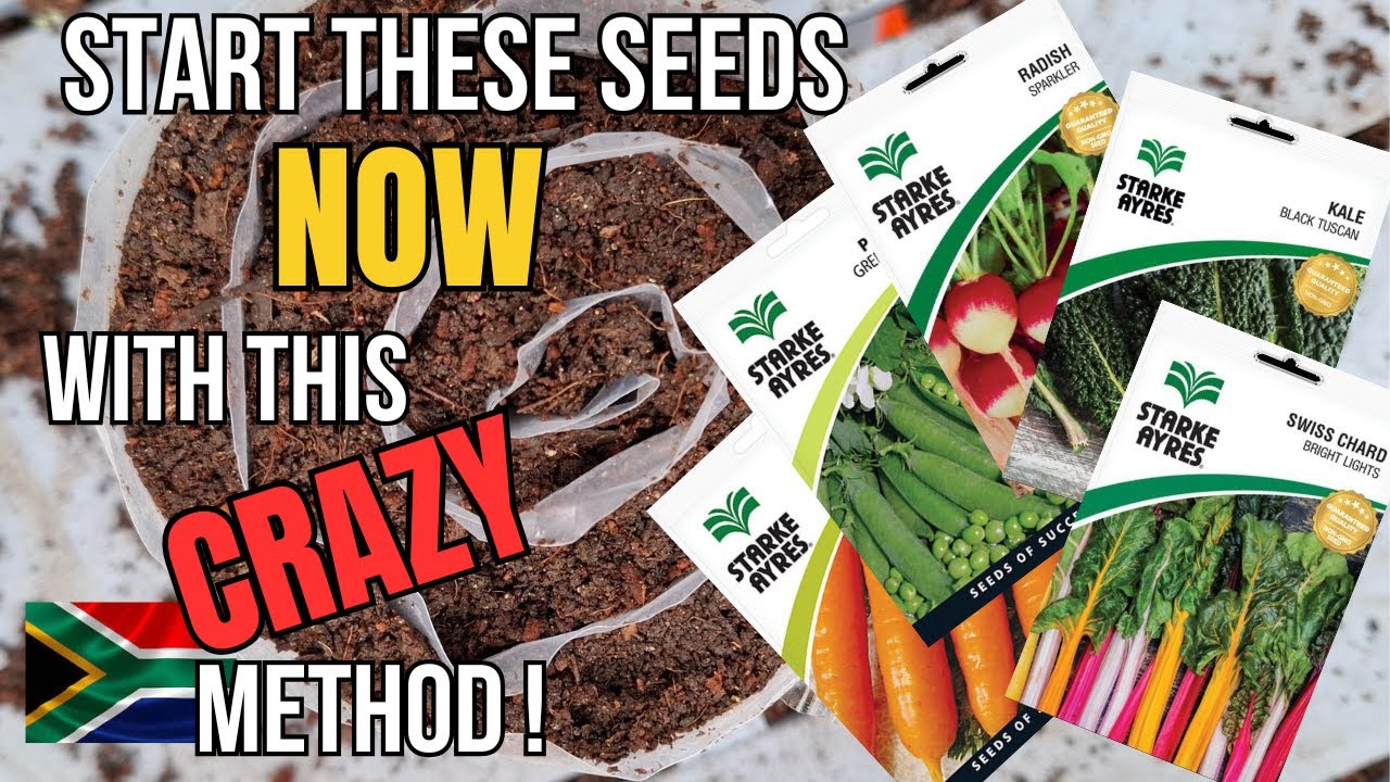 Start these seeds NOW for winter with this CRAZY seed-sowing method! For RSA 🇿🇦