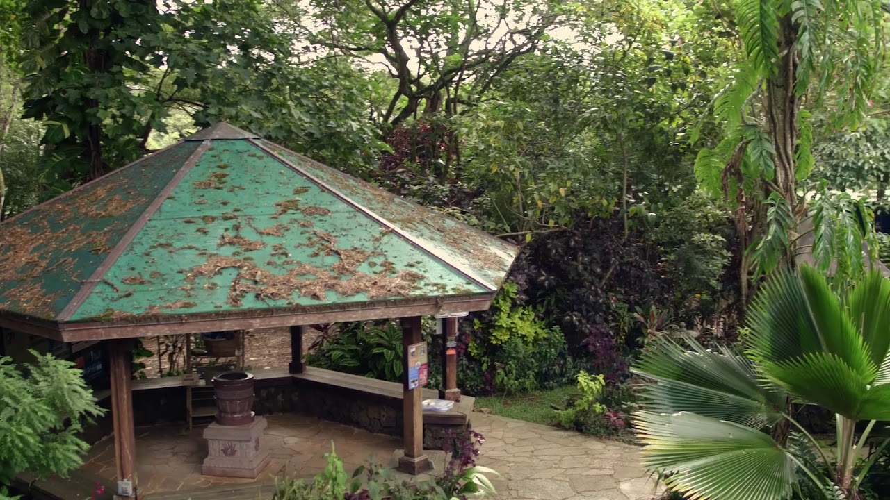 vt video keni keni mandapam