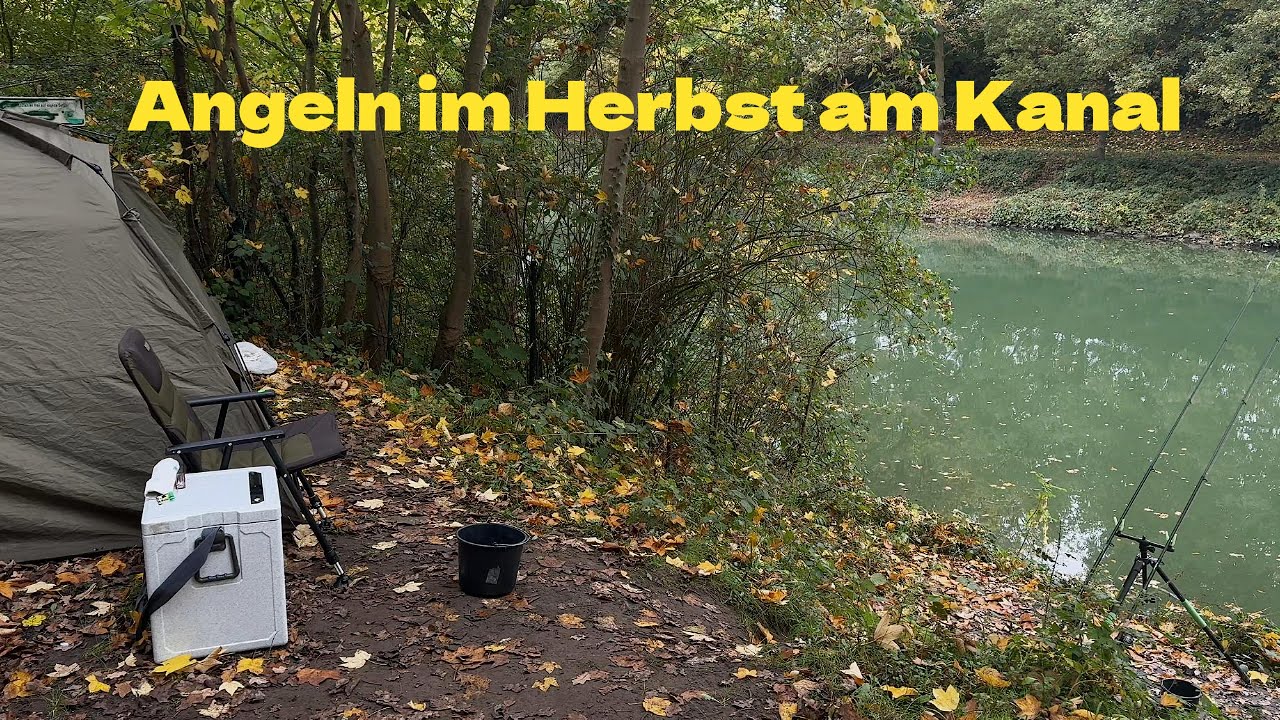 Angeln im Herbst am Kanal auf AAL und weiteres ...