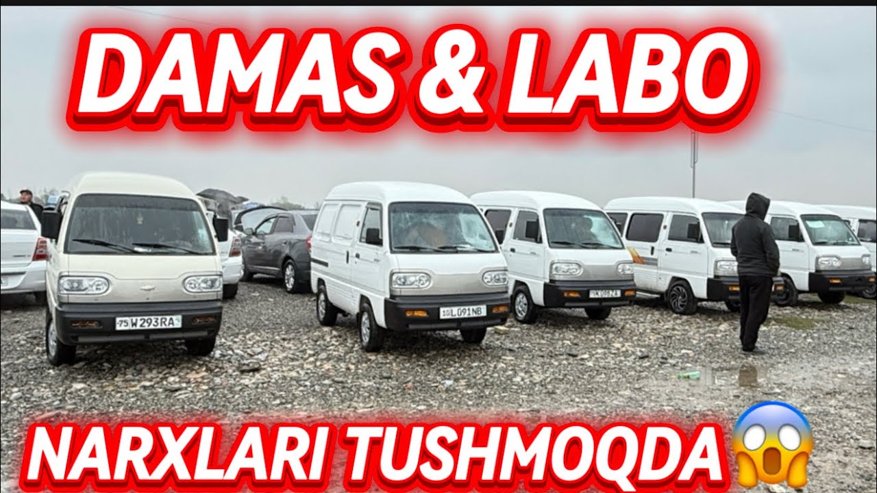 BOZOR TO’LDI NARX TUSHDI DAMAS LABO NARXLARI
