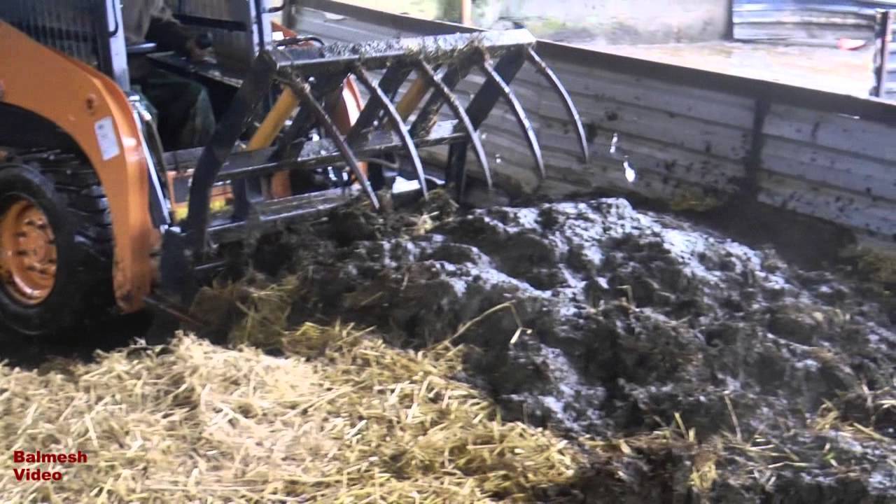 Muck-Carting and Loading with Bobcat.