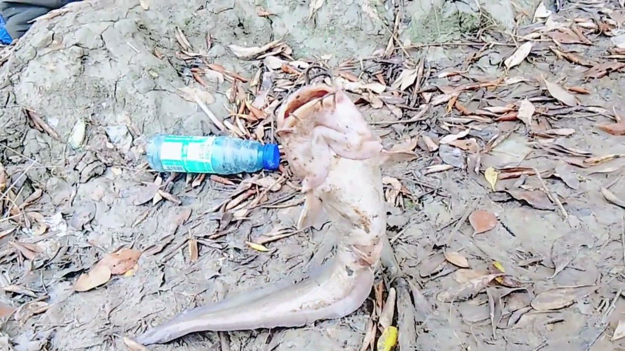 Mancing di sungai angker,,, hasilnya menakjubkan !!! 😱😱😱😱
