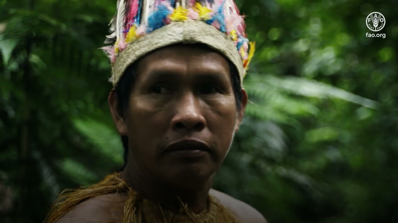 Amazonia Initiative: regional interview at the Hand-in-Hand Investment Forum 2025