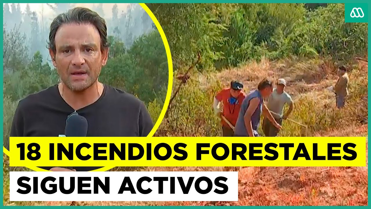 18 incendios siguen en combate: alerta por reactivación de focos en región del Biobío