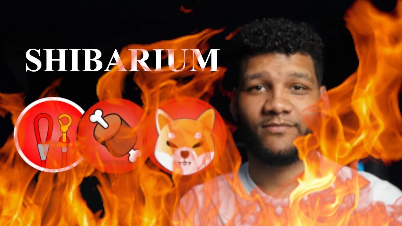 Shibarium Launch Is Coming.....Fingers Crossed For #SHIB Burns