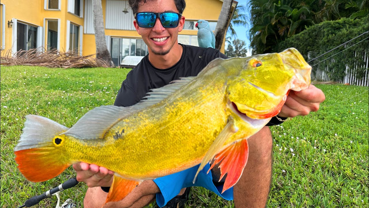 How I Fish has changed Forever (Hidden Spots Found!)